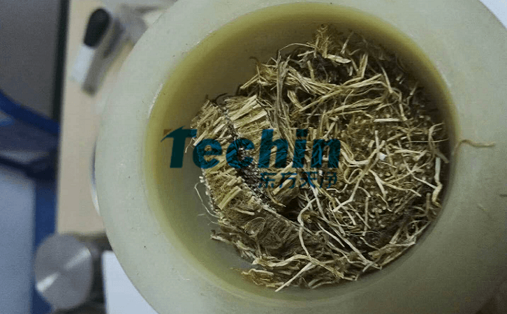 水稻根香蕉视频入口前