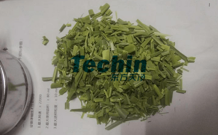 水稻叶子香蕉视频入口前