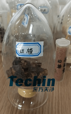 山楂香蕉视频入口前后