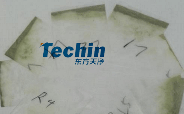 干黄豆根茎香蕉视频入口后