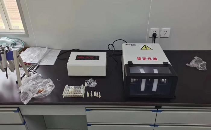TJG高通量组织香蕉视频入口仪香蕉视频入口猪肉
