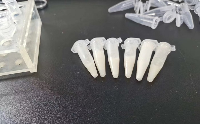 猪肉组织香蕉视频入口后