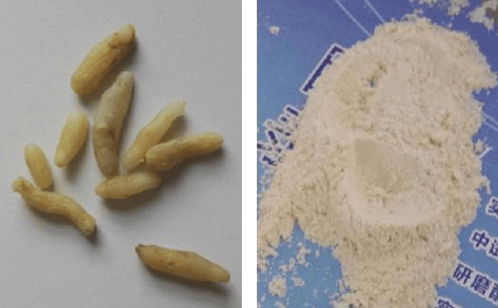 麦冬香蕉视频入口前后